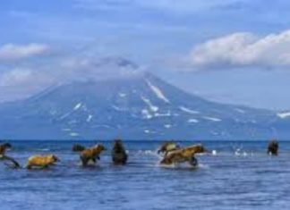 হাজারো রহস্যেঘেরা ‘কামচাটকা’