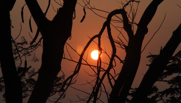 দিনের শেষে