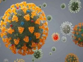 টানা ১৯দিন পর করোনায় ২শ’র নিচে মৃত্যু