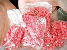 ট্রাভেল ব্যাগে মিলল দেড় কেটি টাকার ইয়াবা