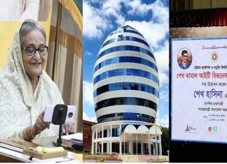 সরকার বিদ্যুৎ খাতে ২৮হাজার কোটি টাকা ভর্তুকি দিচ্ছে : প্রধানমন্ত্রী