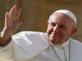 পোপ ফ্রান্সিস মারা গেছেন